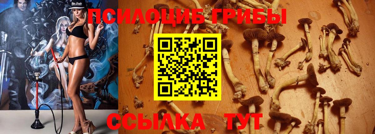 НБОМе Ишимбай