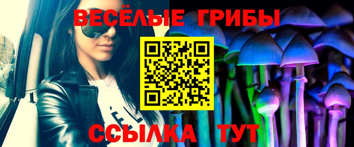 Псилоцибиновые грибы Psilocybe Ишимбай
